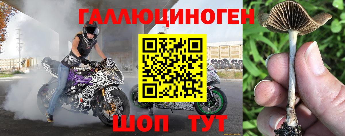 Анжеро-Судженск  Псилоцибиновые грибы мухоморы  Вход с VPN 